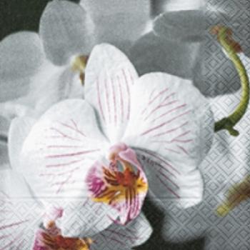 Beautiful orchidee - Servietten 33x33 cm