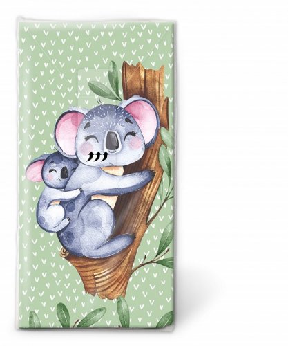 Koalas Taschentücher