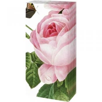 Rosa centifolia -  Taschentücher