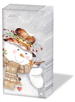 Snowman holding Robin - Taschentücher