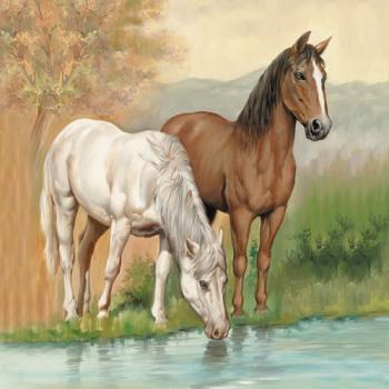 Horses - Servietten 33x33 cm